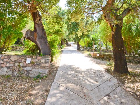 Camping U Pirellu - Camping Corse du Sud - Image N°29