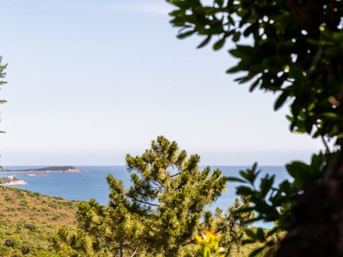 Camping U Pirellu - Camping Corse du Sud - Image N°15