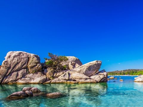Camping U Pirellu - Camping Corse du Sud - Image N°32