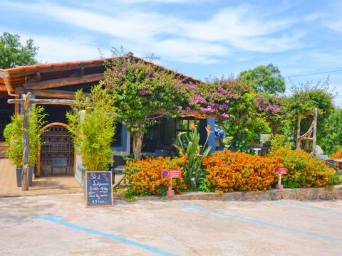 Camping U Pirellu - Camping Corse du Sud - Image N°18