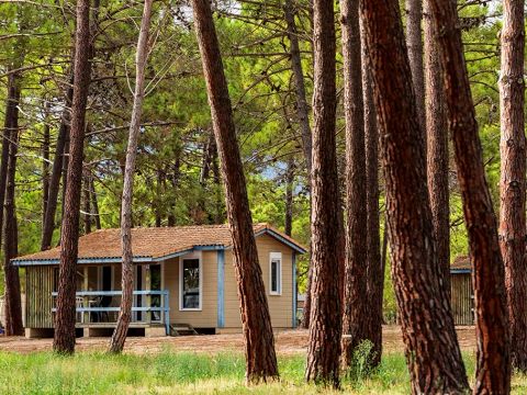 Camping Golfo Di Sogno - Camping Corse du Sud - Image N°46