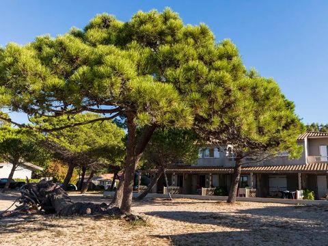 Camping Golfo Di Sogno - Camping Corse du Sud - Image N°47