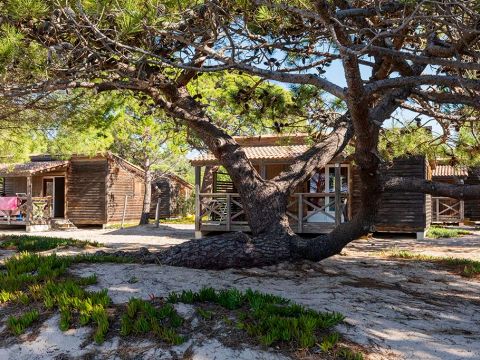 Camping Golfo Di Sogno - Camping Corse du Sud - Image N°42