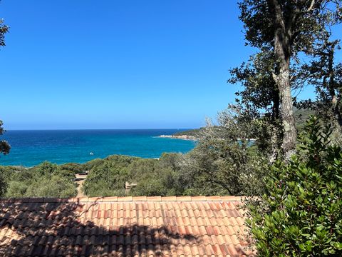 CHALET 4 personnes - Chalet PLEIN AIR - 2 chambres. 4 chalets (P01/P02/P03/P06)