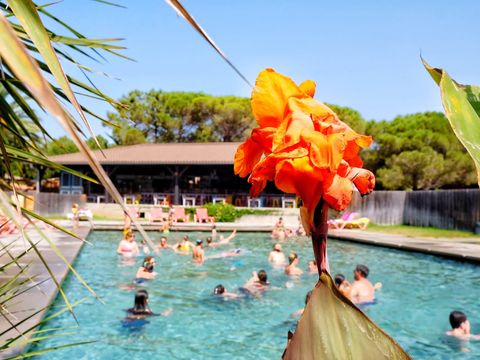 Camping Ras L'Bol - Camping Corse du Sud - Image N°2