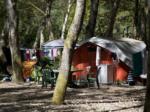 Emplacement - Forfait emplacement