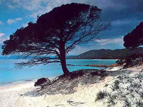 Bagheera Camping Naturiste - Camping Corse du Nord - Image N°20