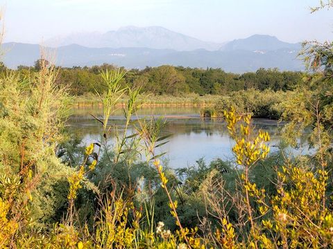 Bagheera Camping Naturiste - Camping Corse du Nord - Image N°16