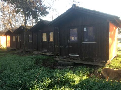 Camping Le Soleil Levant - Camping Corse du Nord - Image N°9