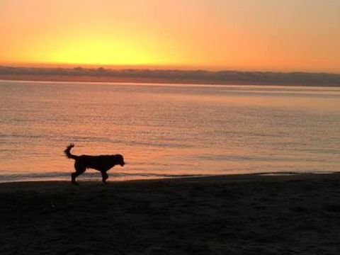 Camping Le Soleil Levant - Camping Corse du Nord - Image N°10