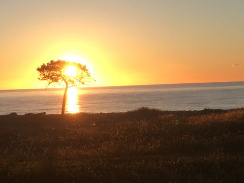 Camping Le Soleil Levant - Camping Corse du Nord - Image N°13