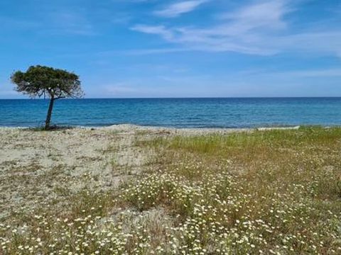Camping Le Soleil Levant - Camping Corse du Nord - Image N°4