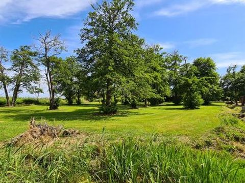 Camping Le Soleil Levant - Camping Corse du Nord - Image N°3