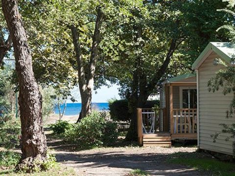 MOBILHOME 4 personnes - Mobil Confort 4 Pers.