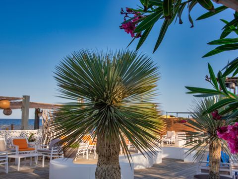 Camping Merendella - Camping Corse du Nord - Image N°38