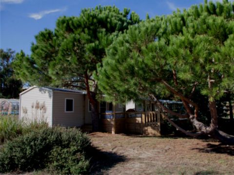 MOBILHOME 4 personnes - Mobil Rivage 4p 2Ch PMR