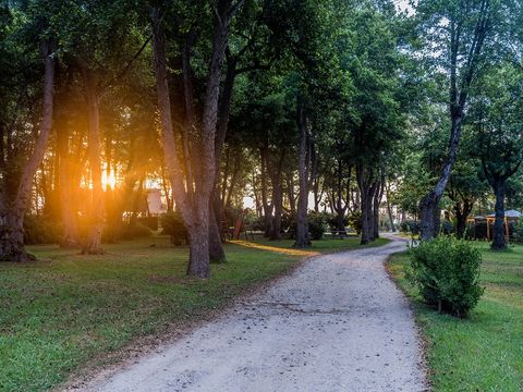 Camping Merendella - Camping Corse du Nord - Image N°44