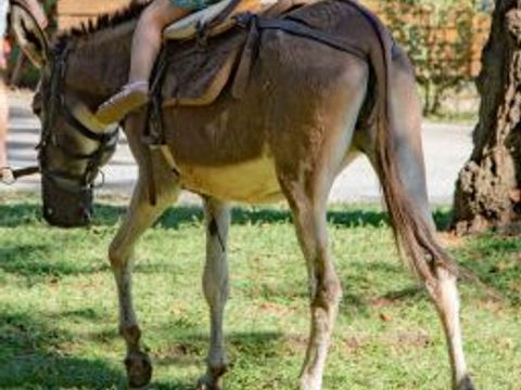 Camping Merendella - Camping Corse du Nord - Image N°54