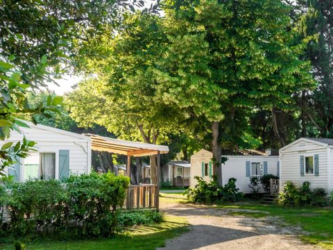 Camping Les Avignon - La Laune - Camping Gard - Image N°22