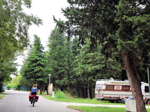 Camping Les Avignon - La Laune - Camping Gard - Image N°12