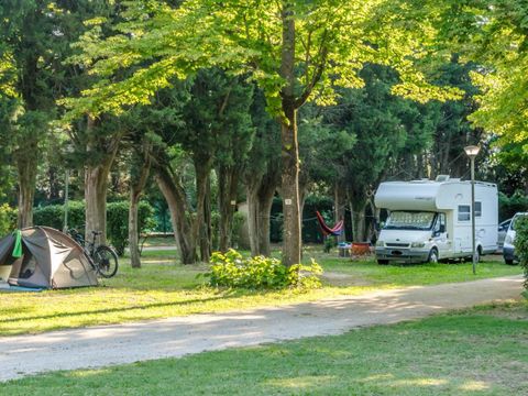 Camping Les Avignon - La Laune - Camping Gard - Image N°24
