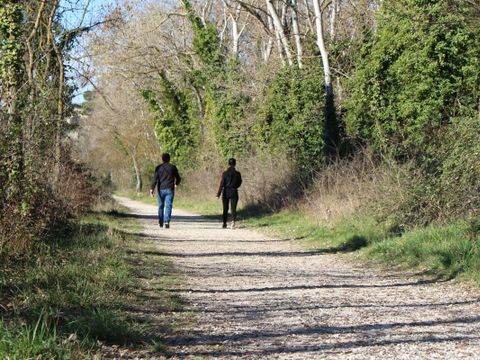 Camping Les Avignon - La Laune - Camping Gard - Image N°36
