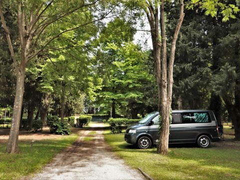 Camping Les Avignon - La Laune - Camping Gard - Image N°9