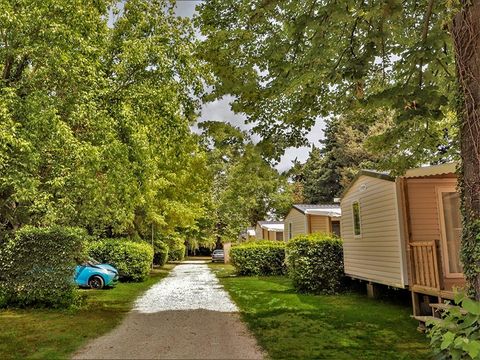 Camping Les Avignon - La Laune - Camping Gard - Image N°11