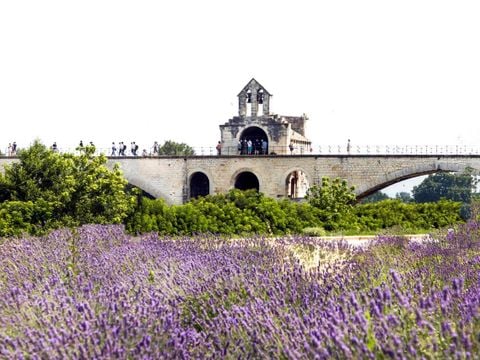 Camping Les Avignon - La Laune - Camping Gard - Image N°30