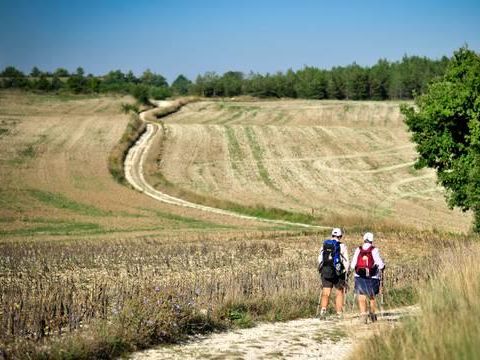 Camping Les Bois de Prayssac - Camping Lot - Image N°36