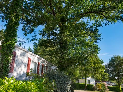 Tour Opérateur et particuliers sur camping Domaine de Kerlann - Funpass non inclus - Camping Finistère - Image N°24