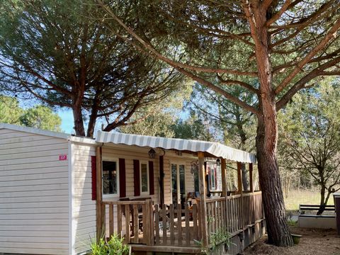 MOBILHOME 6 personnes - BA337 44 m² - 3 chambres - Climatisation -  2SDB - 2WC