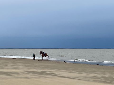 MOBILHOME 6 personnes - Mobil-home BA233 - 36m² - 3 chambres 6 pers