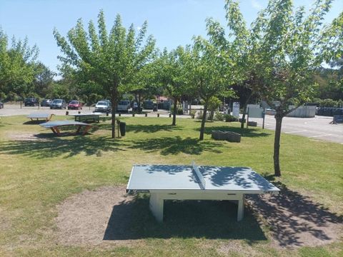 Tour Opérateur et particuliers sur camping Les Dunes de Contis - Funpass non inclus - Camping Landes - Image N°5