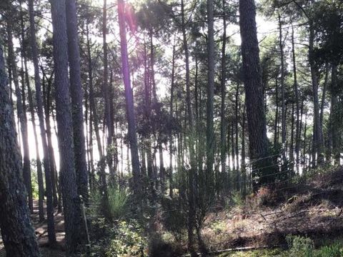 MOBILHOME 8 personnes - Mobil-home 3 chambres - 2 salles de bain - Contis AVENT3 MH 557