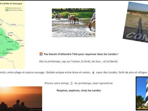 MOBILHOME 8 personnes - Mobil-home 3 chambres - 2 salles de bain - Contis OCEHA MH S04.