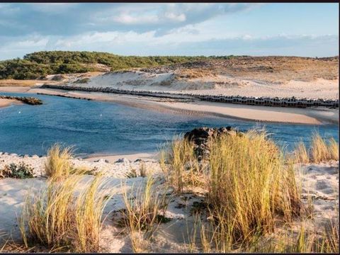 Tour Opérateur et particuliers sur camping Les Dunes de Contis - Funpass non inclus Tour Opérateur et particuliers sur camping Les Dunes de Contis - Funpass non inclus - Camping Landes - Image N°12