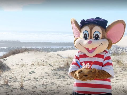 Tour Opérateur et particuliers sur camping Les Dunes de Contis - Funpass non inclus - Camping Landes - Image N°5