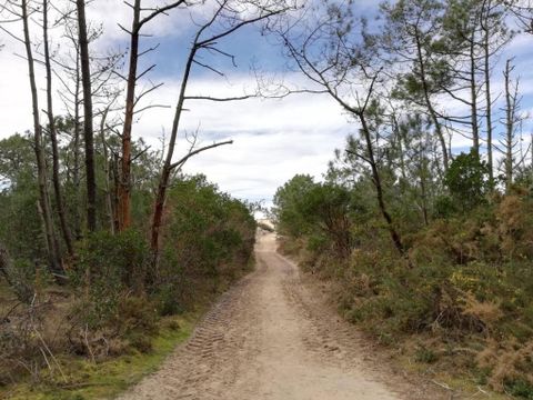 Tour Opérateur et particuliers sur camping Les Dunes de Contis - Funpass non inclus Tour Opérateur et particuliers sur camping Les Dunes de Contis - Funpass non inclus - Camping Landes - Image N°15
