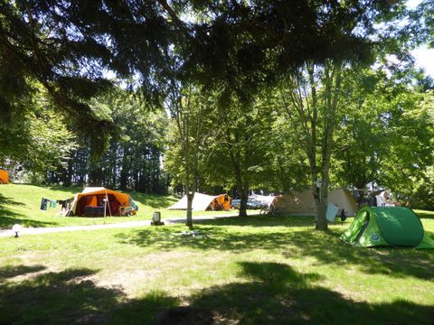 Camping Le Plo - Camping Tarn - Image N°9