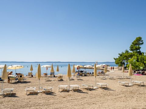 Camping Zaton Holiday Resort  - Camping Zadar - Image N°22