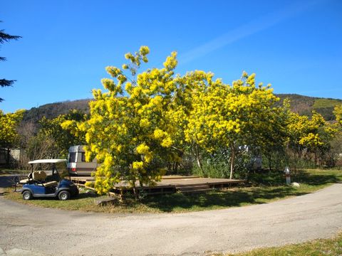 Camping du Riuferrer - Camping Pyrénées-Orientales - Image N°21