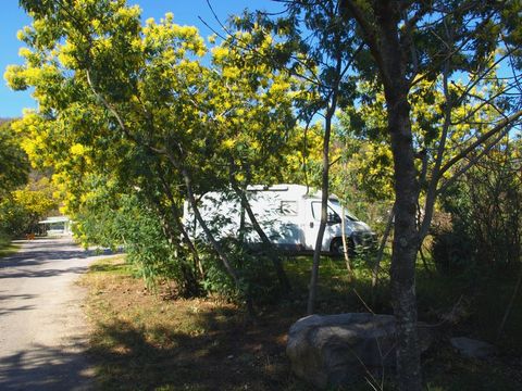 Camping du Riuferrer - Camping Pyrénées-Orientales - Image N°11