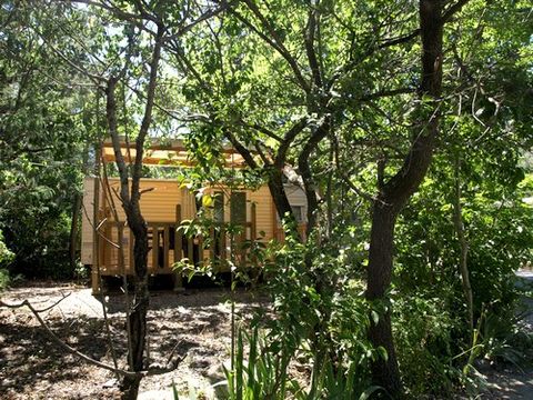 Camping du Riuferrer - Camping Pyrénées-Orientales - Image N°10