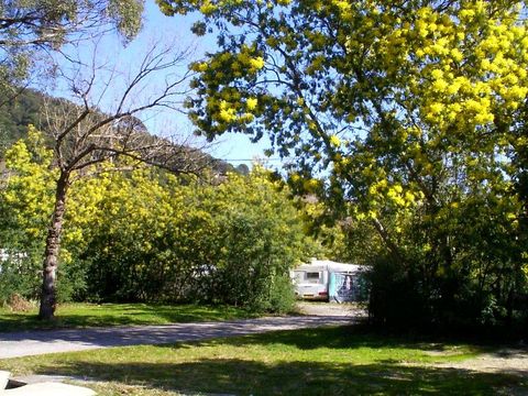 Camping du Riuferrer - Camping Pyrénées-Orientales - Image N°19