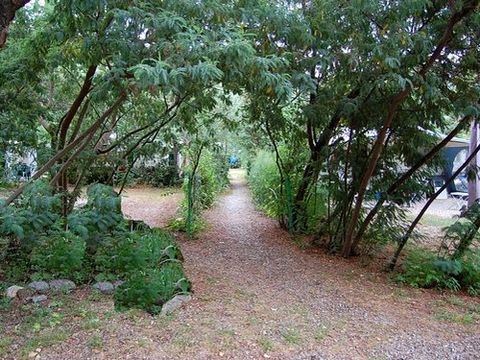 Camping du Riuferrer - Camping Pyrénées-Orientales - Image N°18