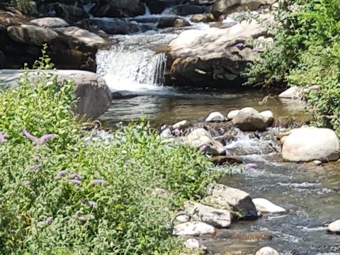 Camping du Riuferrer - Camping Pyrénées-Orientales - Image N°29