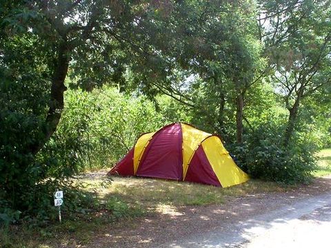 Camping du Riuferrer - Camping Pyrénées-Orientales - Image N°17