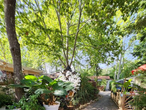 Camping De Nogarede - Camping Pyrénées-Orientales - Image N°37