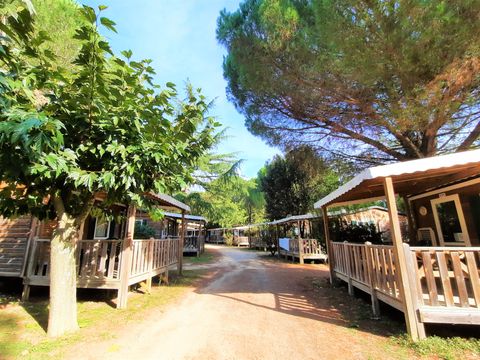 CHALET 3 personnes - Chalet Confort 16 m² - 1 chambre - climatisation (possibilité couchage d'appoint) 2 pers